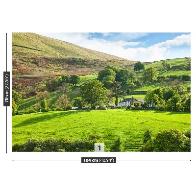 Fototapeta Jarní Cumbria