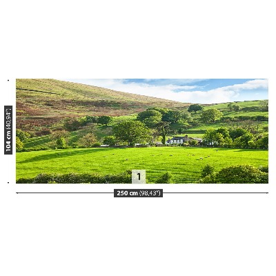 Fototapeta Jarní Cumbria