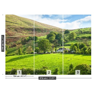 Fototapeta Jarní Cumbria