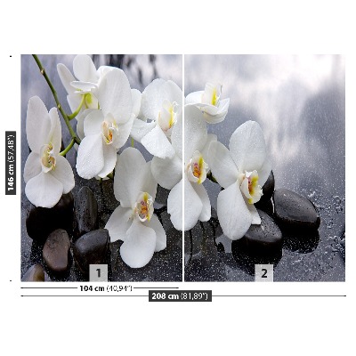 Fototapeta Orchidejové kameny