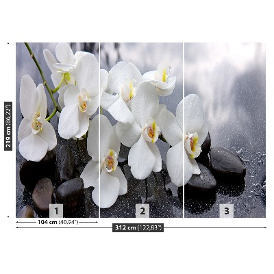 Fototapeta Orchidejové kameny