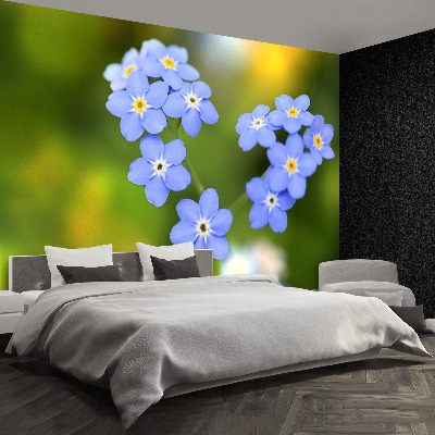 Fototapeta Forget-me-nots Srdce