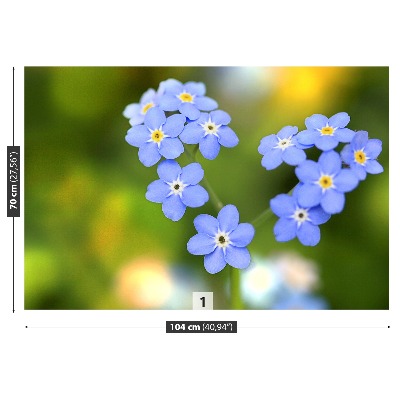 Fototapeta Forget-me-nots Srdce