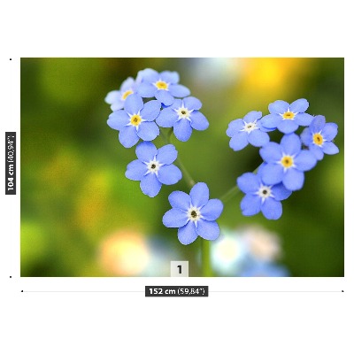 Fototapeta Forget-me-nots Srdce