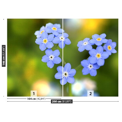 Fototapeta Forget-me-nots Srdce