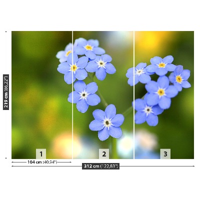 Fototapeta Forget-me-nots Srdce