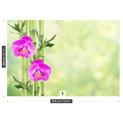 Fototapeta Orchidej a bambus