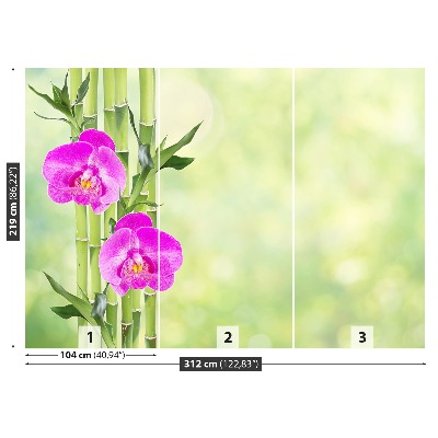 Fototapeta Orchidej a bambus