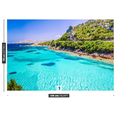 Fototapeta Sardínie moře