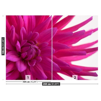 Fototapeta Dahlia Pink