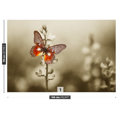 Fototapeta Motýl květiny