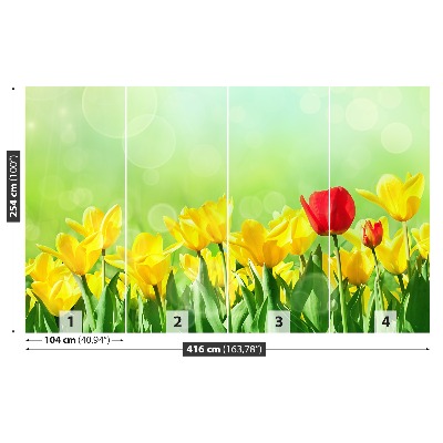 Fototapeta Žluté tulipány