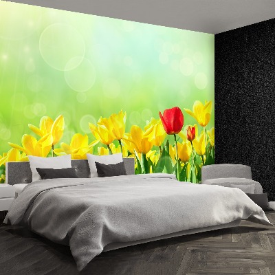 Fototapeta Žluté tulipány