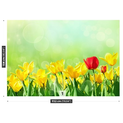 Fototapeta Žluté tulipány