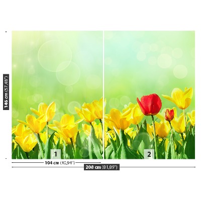 Fototapeta Žluté tulipány