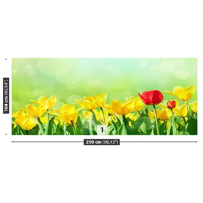 Fototapeta Žluté tulipány