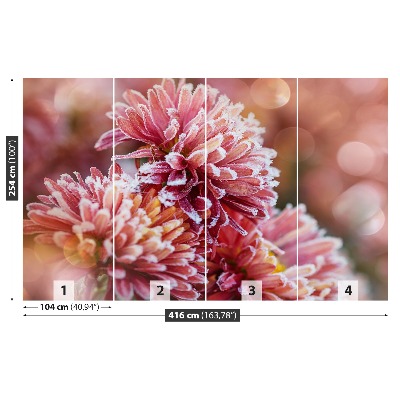 Fototapeta Aster ice Pink