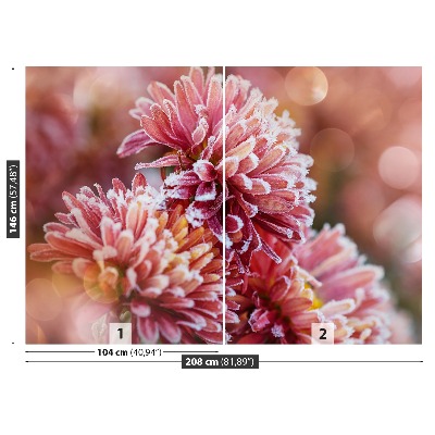 Fototapeta Aster ice Pink