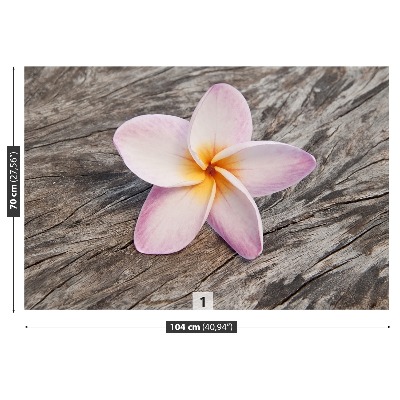 Fototapeta Frangipani Wood