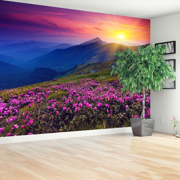 Fototapeta Rhododendron Květiny