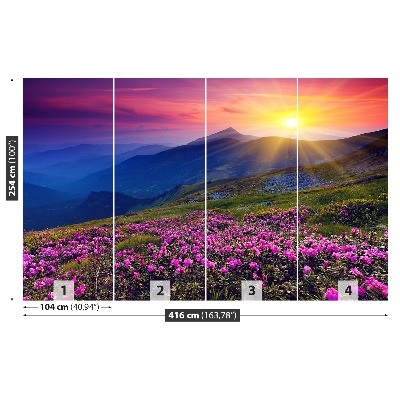 Fototapeta Rhododendron Květiny