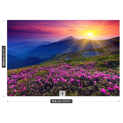 Fototapeta Rhododendron Květiny