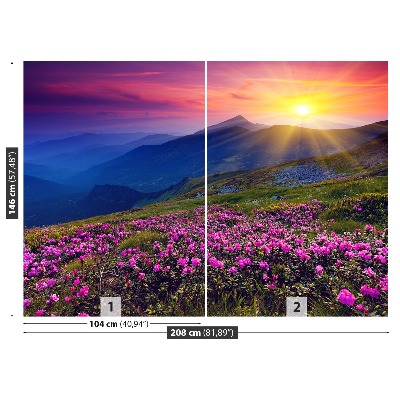 Fototapeta Rhododendron Květiny