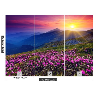 Fototapeta Rhododendron Květiny