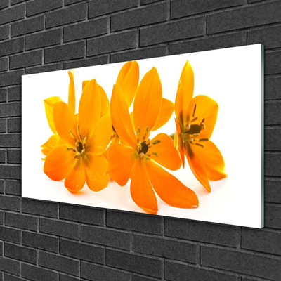 akrylový obraz Oranžové Květiny