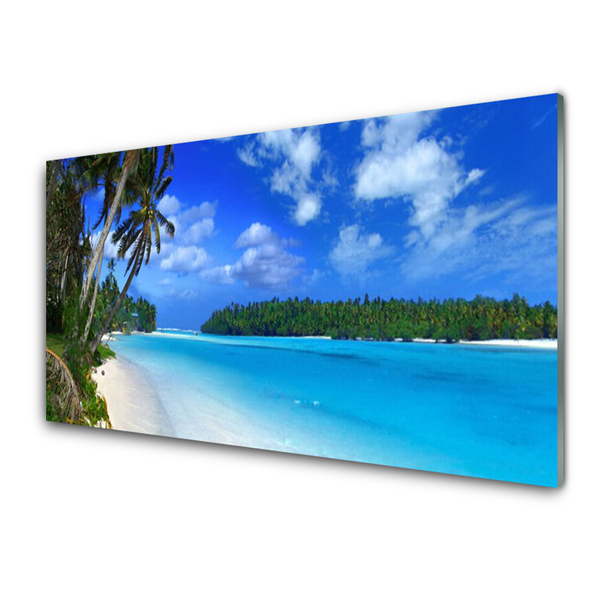 akrylový obraz Pláž Palmy Moře Krajina