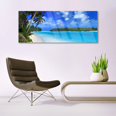 akrylový obraz Pláž Palmy Moře Krajina