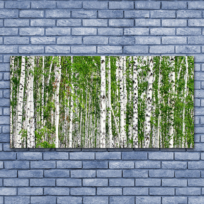 akrylový obraz Bříza Les Stromy Příroda