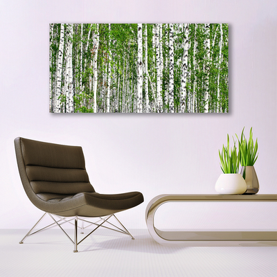 akrylový obraz Bříza Les Stromy Příroda