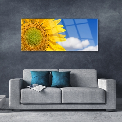 akrylový obraz Slunečnice Mraky