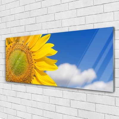 akrylový obraz Slunečnice Mraky