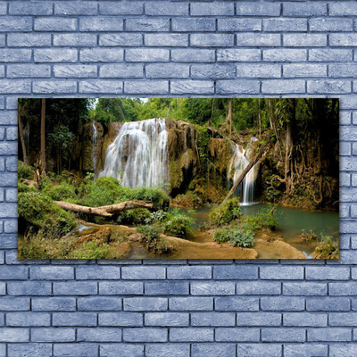 akrylový obraz Vodopád Řeka Les Příroda