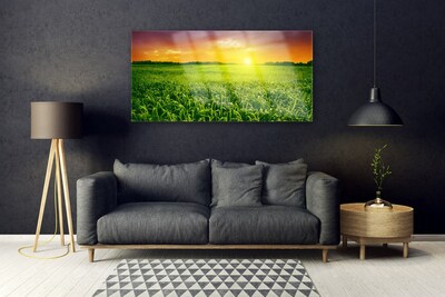 akrylový obraz Obilí Pole Východ Slunce