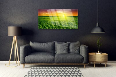 akrylový obraz Obilí Pole Východ Slunce