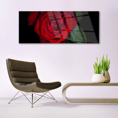 akrylový obraz Růže