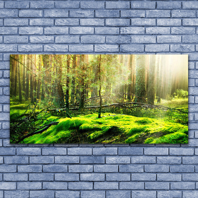 akrylový obraz Mech Les Příroda