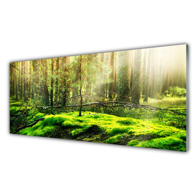 akrylový obraz Mech Les Příroda