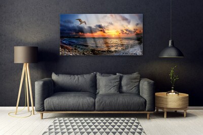 akrylový obraz Racek Moře Pláž Krajina
