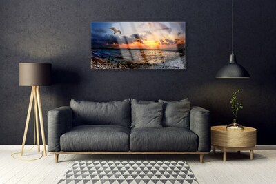 akrylový obraz Racek Moře Pláž Krajina