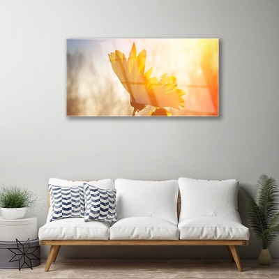 akrylový obraz Slunečnice