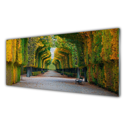 akrylový obraz Park Podzim Zahrada Příroda