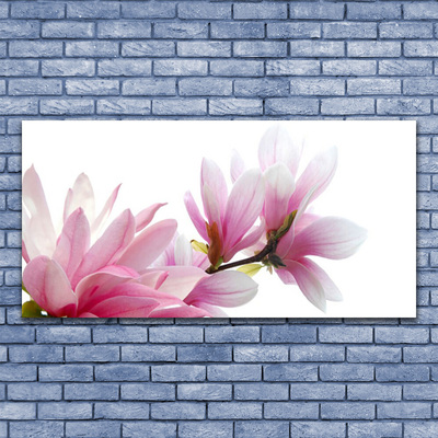akrylový obraz Magnolie Květ