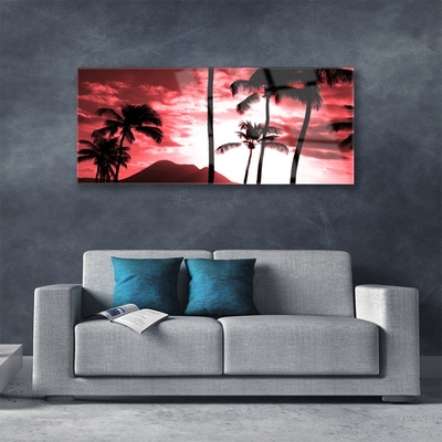 akrylový obraz Hora Palmy Stromy Příroda