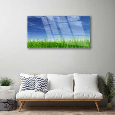 akrylový obraz Nebe Tráva Příroda