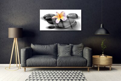 akrylový obraz Květiny Kameny Příroda
