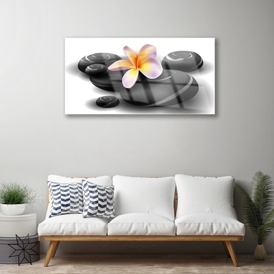 akrylový obraz Květiny Kameny Příroda